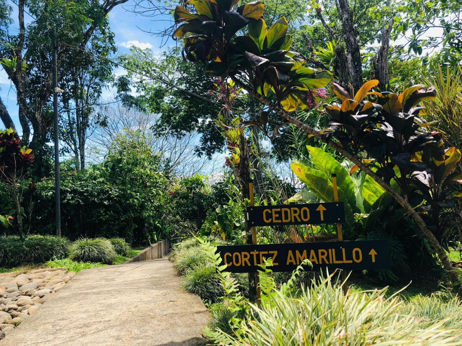 Avita Lodge Quesada  Exterior foto