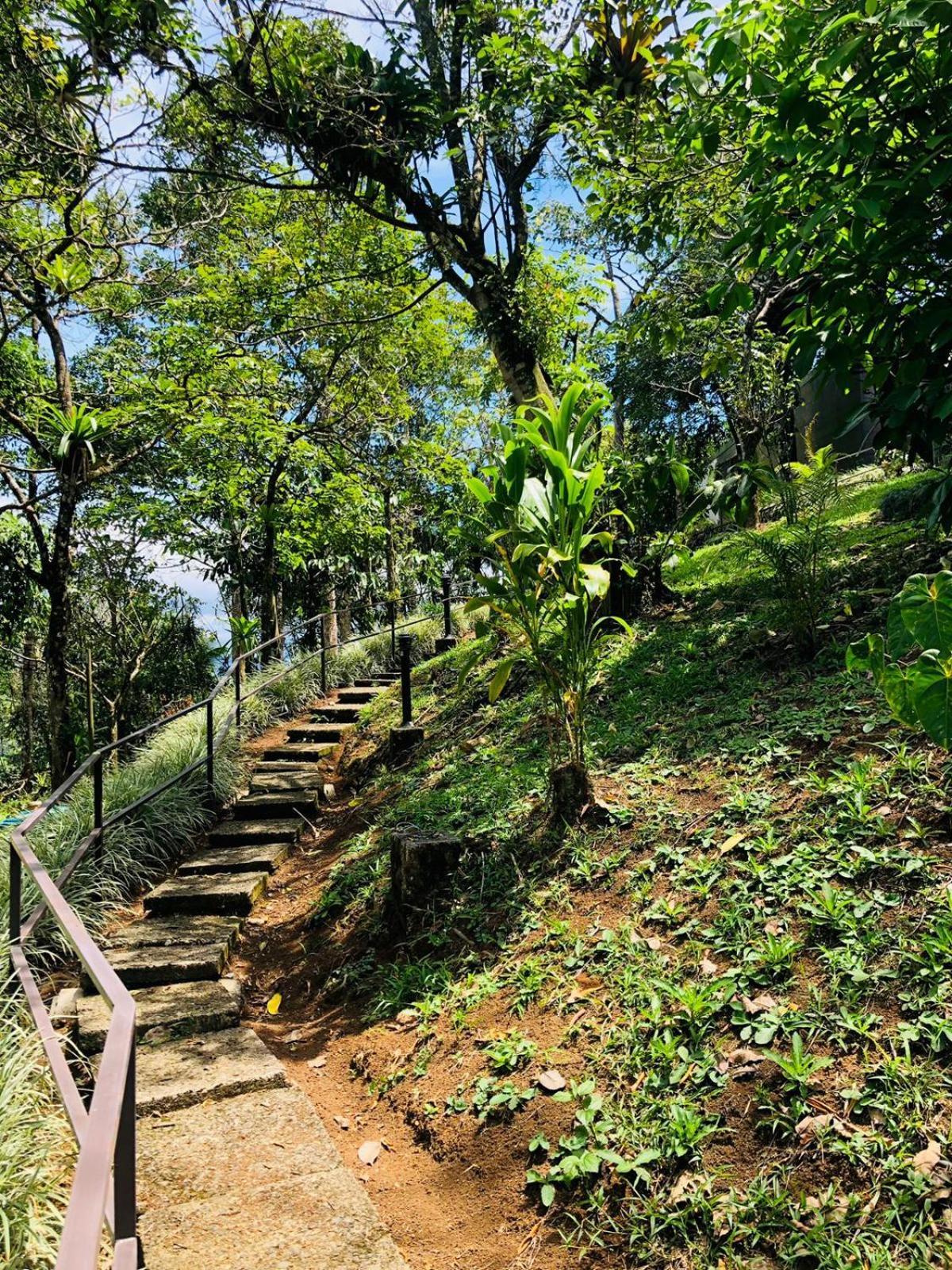 Avita Lodge Quesada  Exterior foto